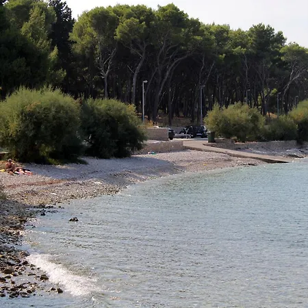 Double 2943b Sutivan